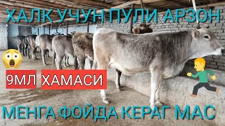 ТОЗЗА ШВЕТЛАР ХАМАСИ 1ЧИ КОРИНГА ЗУЛАРИ ЭНДИ ЛУТФИЛЛО АКАМЗДА БУГУН ДУСЛАР