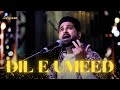 Dil E Umeed Tora Hai Kisi Ne - Sufigraam | Live Performance | 7428922315 #nfaksongs #showreel