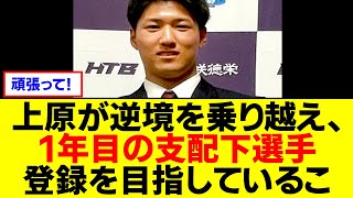 【育成ドラフト3位】上原堆我が逆境を乗り越え、1年目の支配下選手登録を目指しているこ