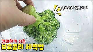 브로콜리 올바른 세척법!흐르는 물로만 씻으시면 안되요!