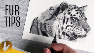 Draw Better Fur | Drawing Fur Tips And Tutorial For Pencil