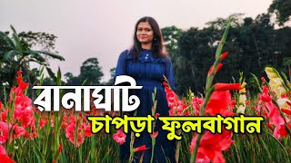 Ranaghat chapra flower garden ! রানাঘাটের চাপড়া ফুলবাগান কিভাবে যাবেন? পিকনিক করা যায়? খরচ কতো?