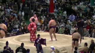 大奄美-小柳/2017.3.23(36)/daiamami-oyanagi/day12 #sumo