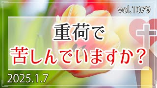 【キリスト】重荷で苦しんでいますか？：マタイの福音書11章