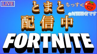 なんか学校鬼ごっこするらしい【Fortnite/フォートナイト】