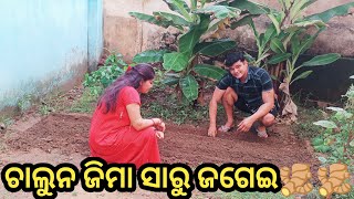 👉ଚାଲୁନ ଜିମା ସାରୁ ଜଗେଇ🫚ଆମର ଦୁହି ବୁଢ଼ାବୁଢ଼ୀ ରକାମ😂ଦୁନିଆ ରେ ଏନ୍ତା କାମ ନାଇ ଯେନ୍ତା ଇ ଜାଣି ନାଇ👍#husbandwife