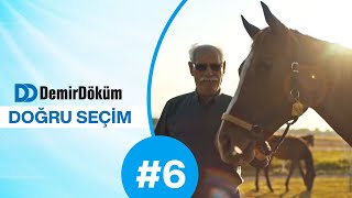 DemirDöküm Doğru Seçim #6