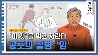 암이 무서우세요? 그럼 '이 것'만은 하지 마세요 | 5분 사피특강