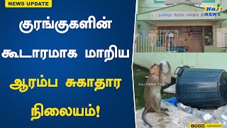 குரங்குகளின் கூடாரமாக மாறிய ஆரம்ப சுகாதார நிலையம்! | Primary Health | monkeys