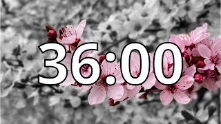 36 Minutes Timer with Music | Cherry Blossom Timer