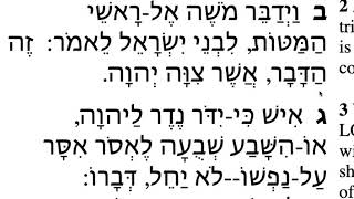 Mattot (Numbers 30:1-3) in Hebrew