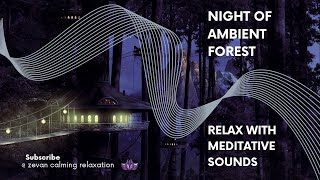Meditation Music verzus Night of Ambient Forest Sounds | Renewed Energy and Emotional Freedom