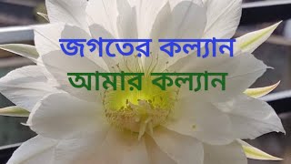 জগতের কল‍্যান আমার কল‍্যান