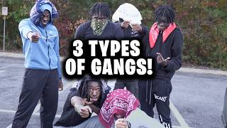3 TYPES OF GANGS IN THE HOOD!