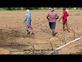 ఆర్గానిక్ పద్ధతిలో వ్యవసాయం డ్రిప్ ఇరిగేషన్ drip irrigation is the organic method of farming