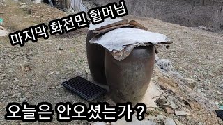 마지막 화전민 할머님은 87세 오늘은 안오셨는가 ??