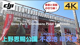 【音楽と芸能の守り神】小島の上の歴史あるお寺を観る│Ueno Park Shinobazu Pond Bentendo│上野恩賜公園 不忍池 辯天堂【4K60│DJI Pocket2】