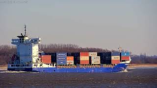 Aus Hollern-Twielenfleth – Elbe \u0026 Schiffe hautnah! 🚢🌊 (19.02.2025)