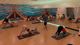 Power Vinyasa Pancha Flow with Jesse Seymour at SOL 19 Longmont Yoga