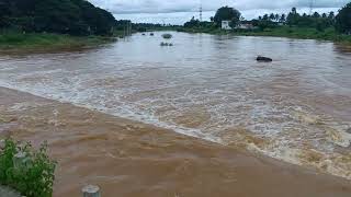 pinakini river near vidhurashwatha 7th Sep 2022