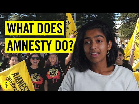 What type of organization is Amnesty International?