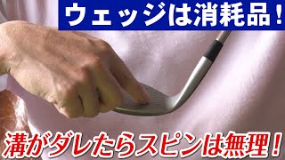 スピンテクニックの第一人者【横田真一】あなたもできるプロ級スピン技【2話】＜全6話＞ スピン量と飛距離について！