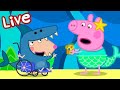 Peppa Pig Full Episodes - LIVE 🚨 BRAND NEW PEPPA PIG EPISODES ⭐️