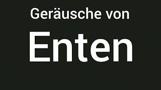 Geräusche von Enten 🔊