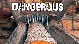 GIANT LOGS VS. DEADLY SPIKES: Will They Survive?