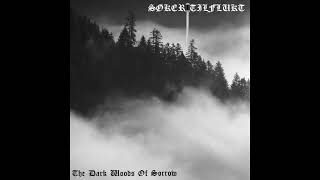 Søker Tilflukt - Amidst Fallen Warriors and Broken Shields