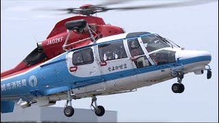 【ヘリコプター】 AS365/565 JA02KF 川崎市消防航空隊「そよかぜ２」の着陸と EC135/635 JA01EX 東邦航空「テレビ朝日取材用ヘリ」の離陸・東京ヘリポート   HD