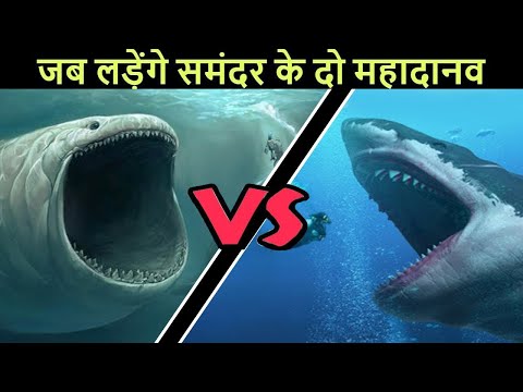megalodon vs godzilla - FunClipTV