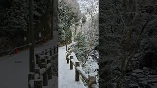 箕面滝道おもしろ動画　　　滝道の雪景色(他にも横長動画が有ります)