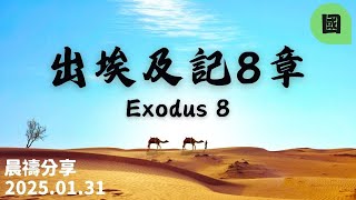 新銳611晨禱 | 出埃及記8章 | 國語 |  2025 01 31