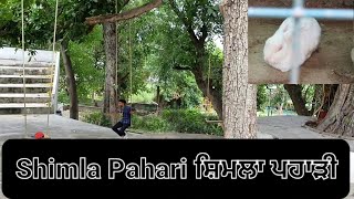 Shimla Pahari (ਸ਼ਿਮਲਾ ਪਹਾੜੀ) ਸੈਰ ਸ਼ਪਾਟਾ tanda urmar vlog 2021