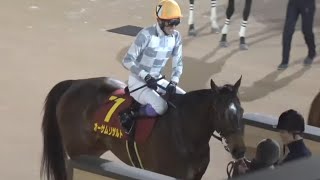 クイーン賞　1着オーサムリザルト号（武豊騎手）2025年2月11日（火）船橋競馬場