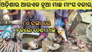 Fish Market Odisha | ଓଡ଼ିଶା ର ଆଉଏକ ନୂଆ ମାଛ ମାଂସ ବଜାର | ମଉସା ରଗିଲେ ମାଛ ନେଲିନି