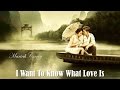I Want To Know What Love Is Mariah Carey (TRADUÇÃO) HD (Lyrics Video).