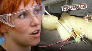 5 Internet Myths That Actually Turned Out to Be True | MythBusters