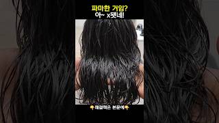 산성펌제 계속 써서 파마 안 나온다면...(해결책은 고정댓글에👉)