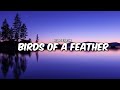 Billie Eilish - Birds Of A Feather ( Lyrics )