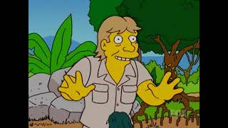 The Simpsons - Saltwater Croc