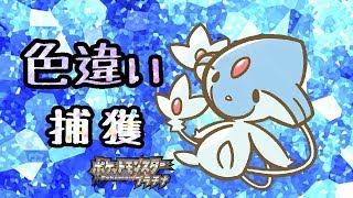 乱数調整を駆使して色違い図鑑を埋める！【ポケモン】(2018/09/26)