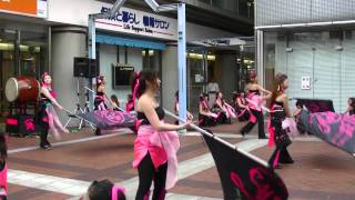 「dance company REIKA組」　湘南よさこい祭り2011　MN北広場