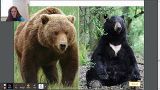 CKLA D11L9: Red Cedars and Grizzly Bears