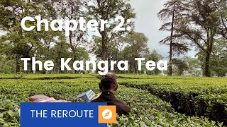 THE REROUTE | Chapter 2: The Kangra Tea | Palampur, Kangra, Himachal Pradesh