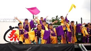 舞童やっちゃん場　2016犬山踊芸祭 石作公園メイン会場 1日目