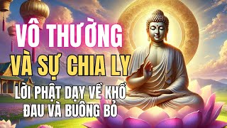 Vô Thường Và Sự Chia Ly: Lời Phật Dạy Về Khổ Đau Và Buông Bỏ | Tư Duy Cuộc Sống