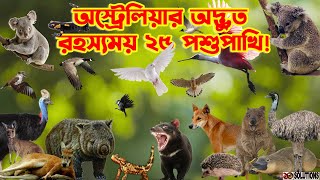 অস্ট্রেলিয়ার বিস্ময়কর ২৫টি পশুপাখি! | 25 Animals Of Australia | 10 Solutions