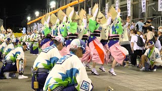 まんじ連 #阿波踊り#阿波おどり